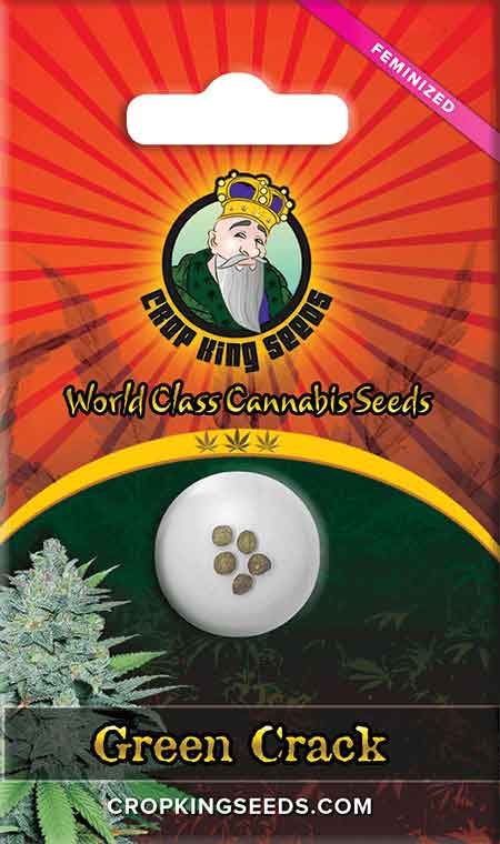 Green Crack Feminized Marijuana Seeds
