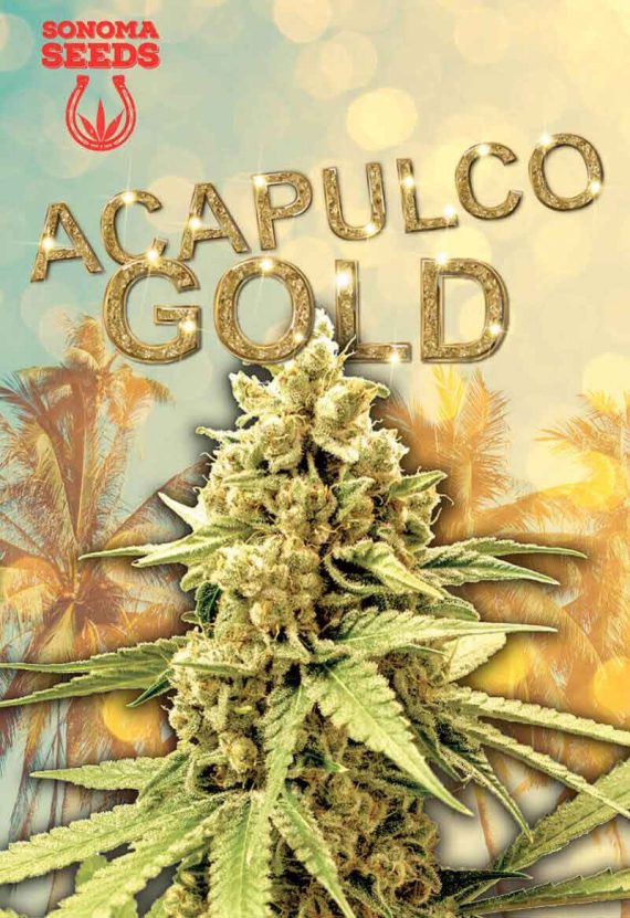 Acapulco Gold Feminized Marijuana Seeds