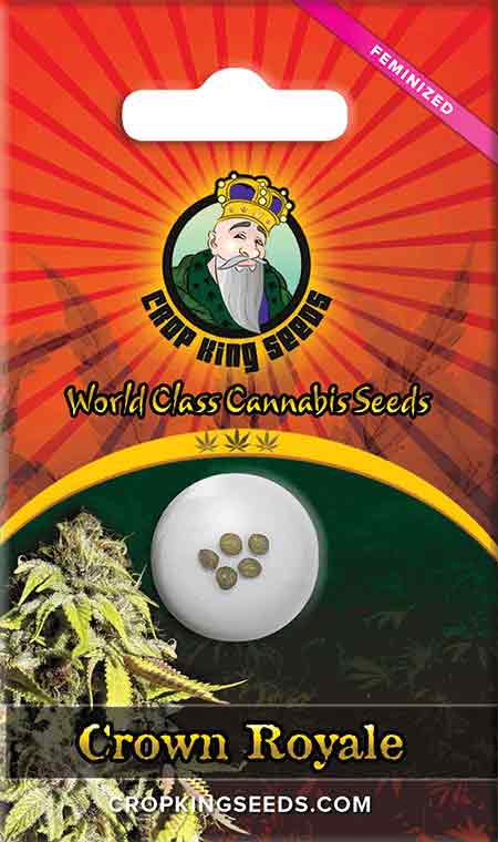 Crown Royale Feminized Marijuana Seeds