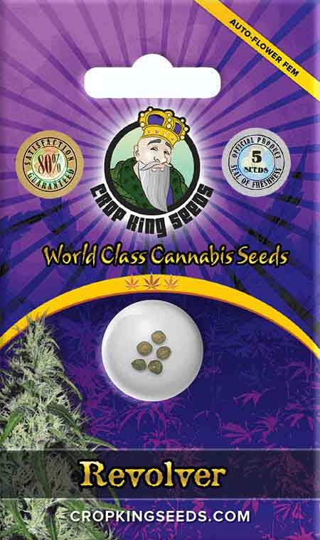 Revolver Autoflowering Marijuana Seeds