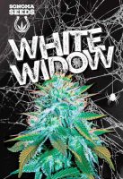 White Widow Autoflowering Marijuana Seeds