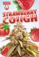Strawberry Cough Autoflower Seeds
