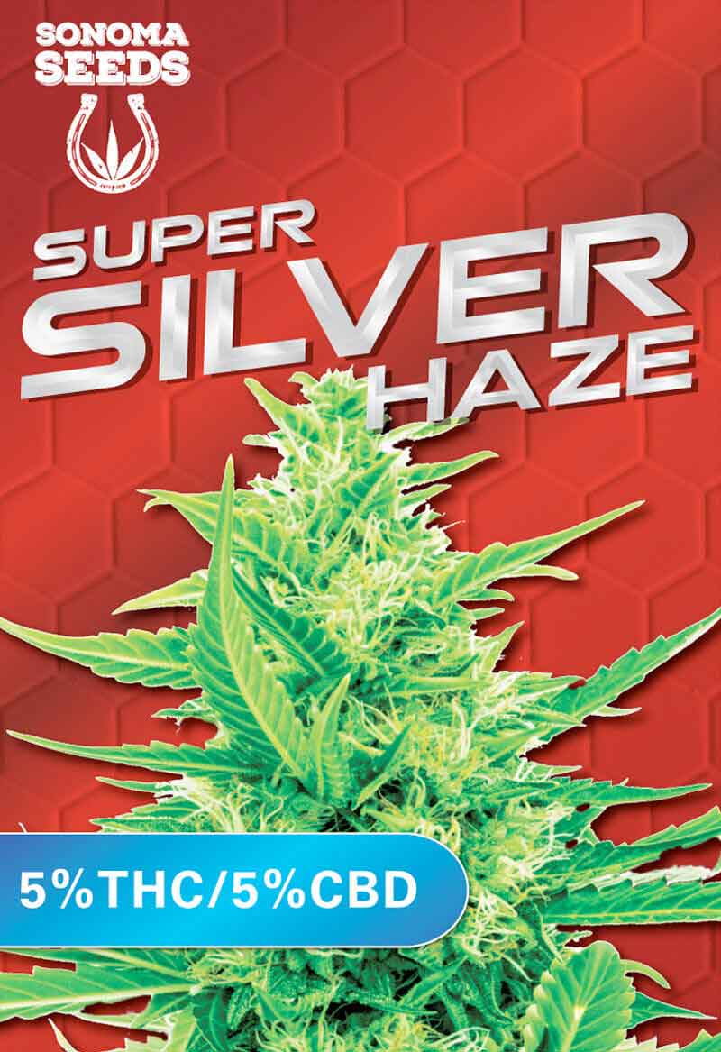 Super Silver Haze CBD Seeds