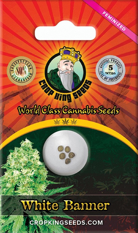 White Banner Feminized Marijuana Seeds