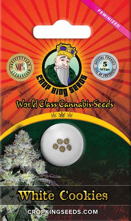 White Cookies Feminized Marijuana Seeds