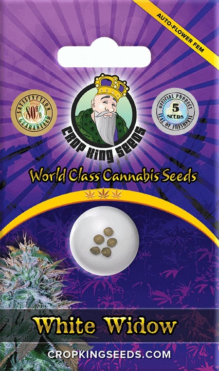 White Widow Autoflowering Marijuana Seeds