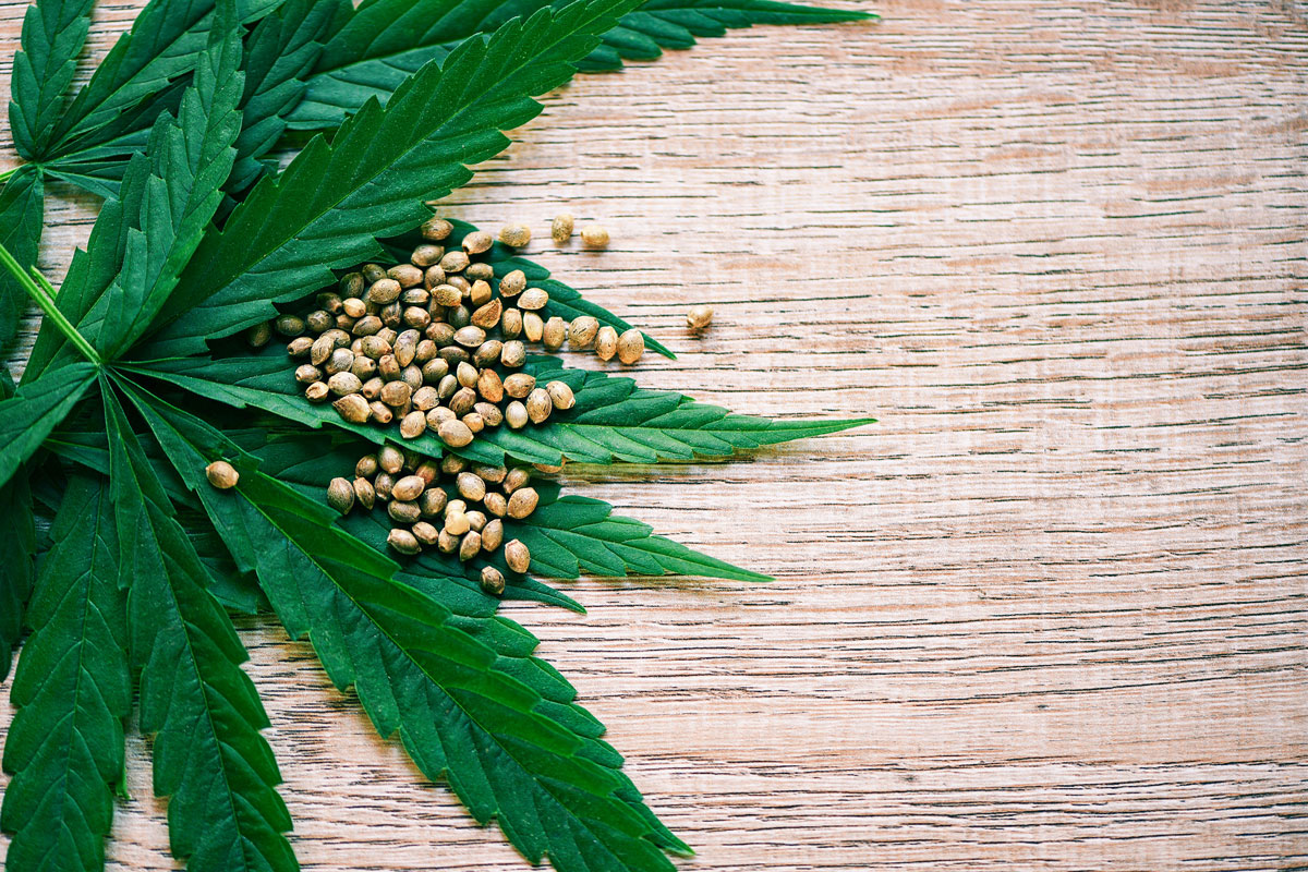 Customers To Buy Marijuana Seeds
