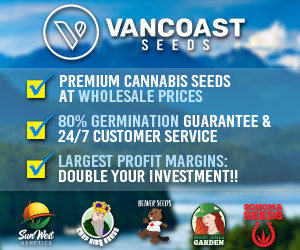 Vancoast Seeds Image