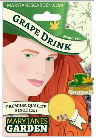 Grape Drink Feminized Marijuana Seeds