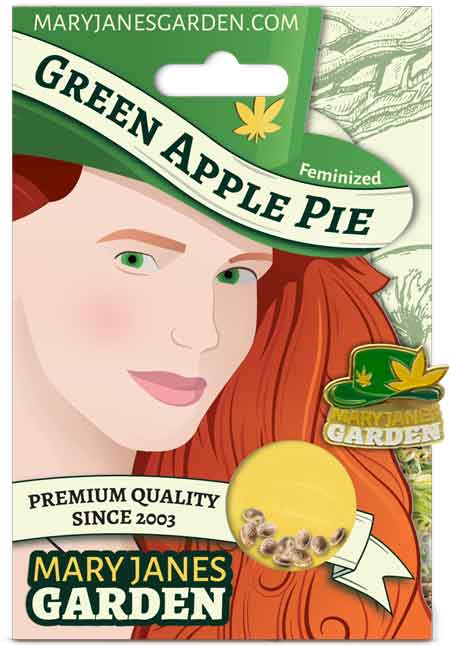 Green Apple Pie Feminized Marijuana Seeds