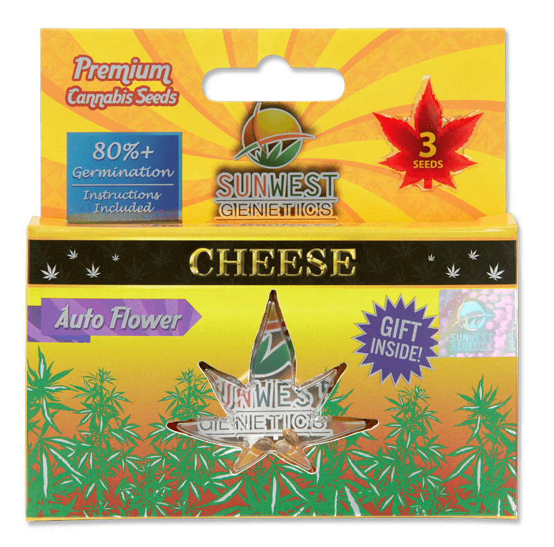 Cheese Autoflower Seeds Sun West